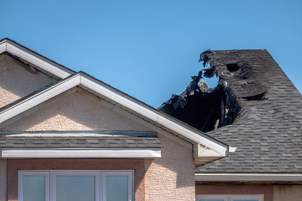 Top rated local Fire Damage Repair specialists in Burlington, NJ